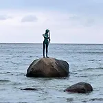 Ostseetraum-sellin *