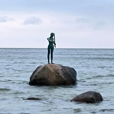 Ostseetraum-sellin *